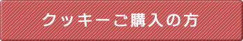 �_�C�G�b�g�@������@���� �N�b�L�[